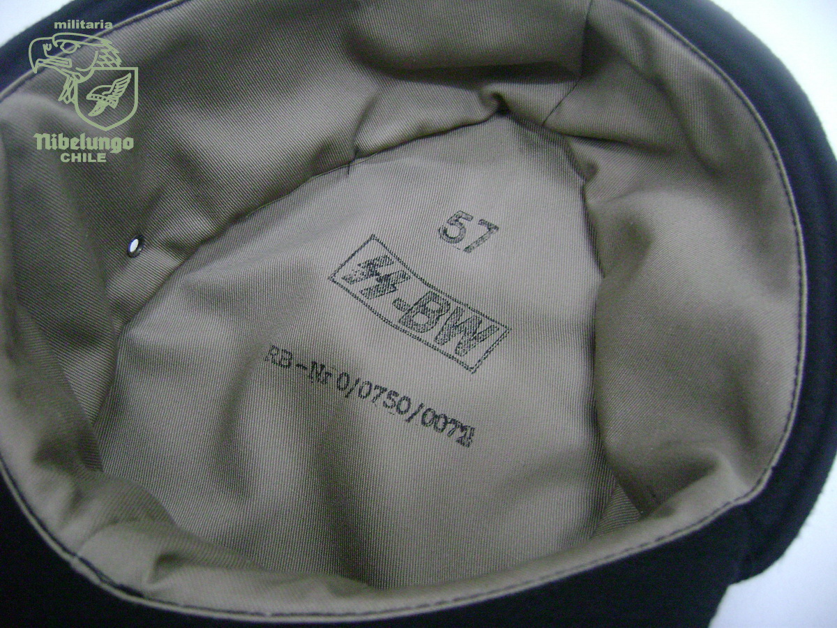 Panzer SS Insignias BeVo plata — foto 7