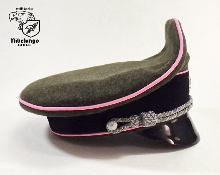 Gorra oficial Panzer SS — foto 5