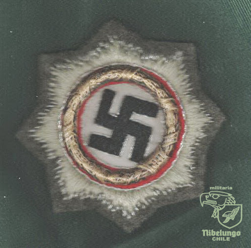 INSIGNIAS — foto 28