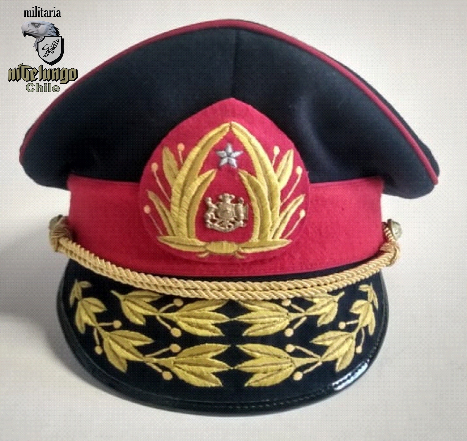 Gorra tipo General Pinochet — foto 4