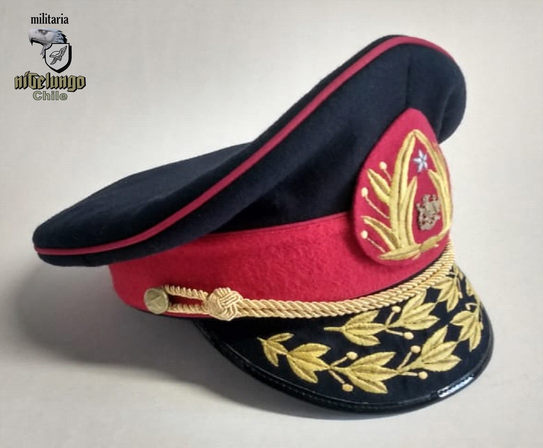 Gorra tipo General Pinochet — foto 5
