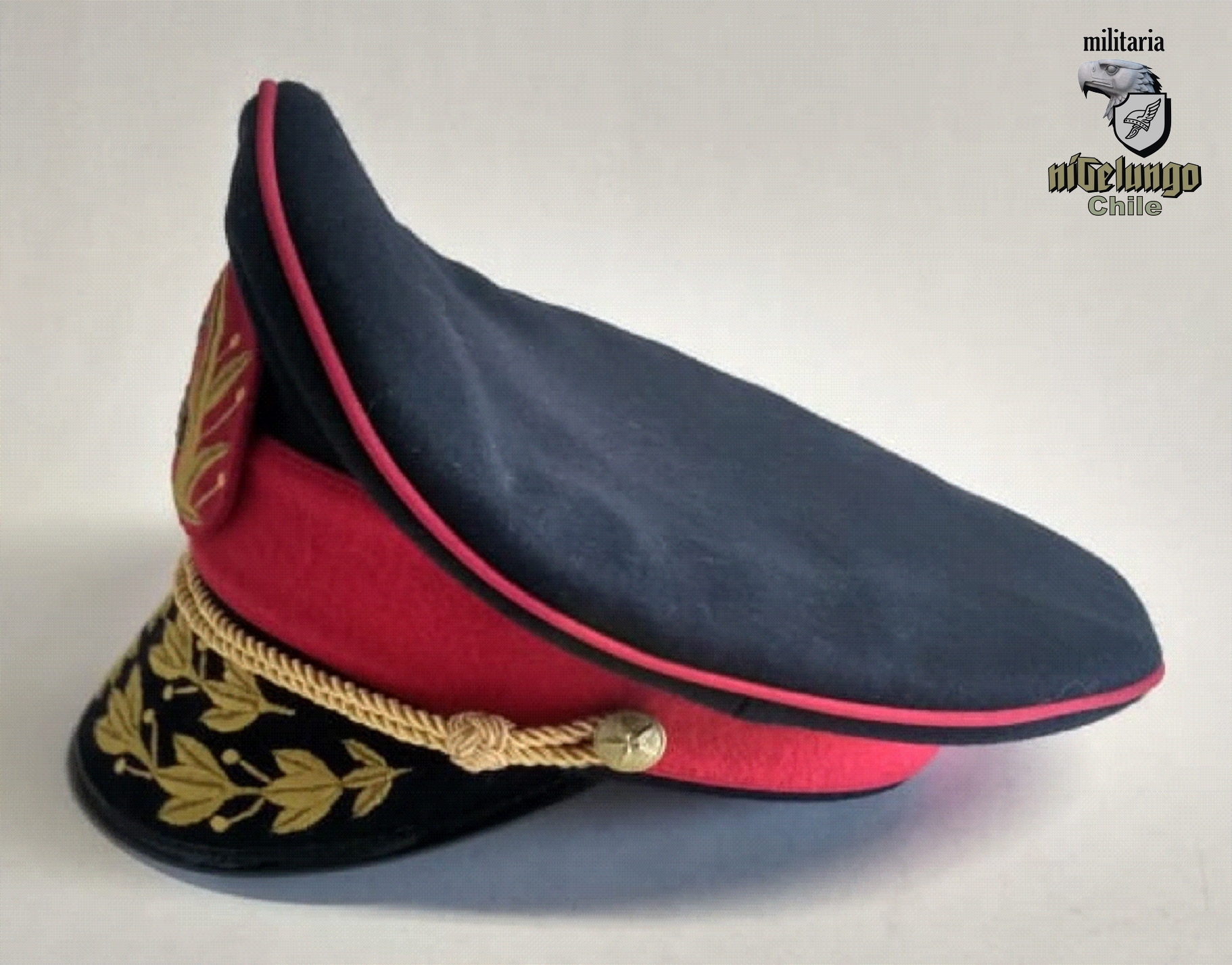 Gorra tipo General Pinochet — foto 6