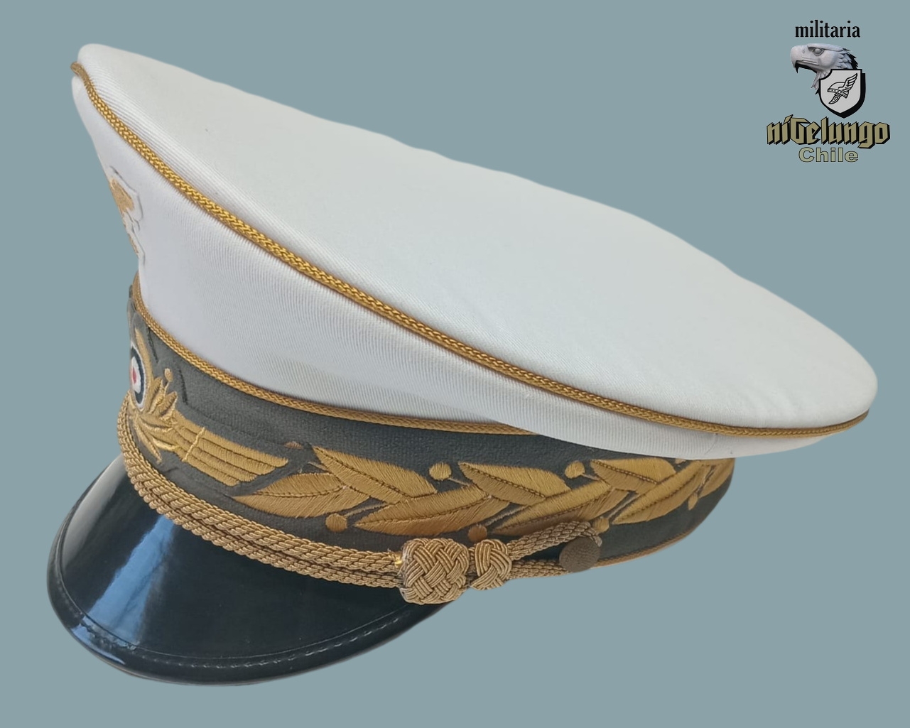 Hermann Göring — foto 3