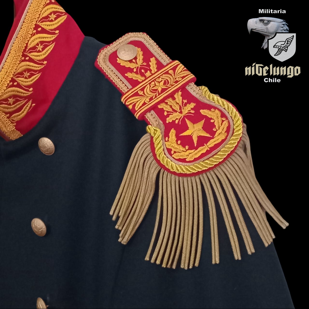 General Peruano Guerra del Pacifico — foto 6