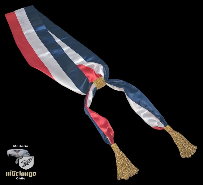 Banda presidencial Chile — foto 2