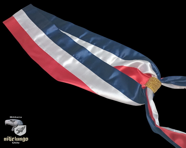 Banda presidencial Chile — foto 3